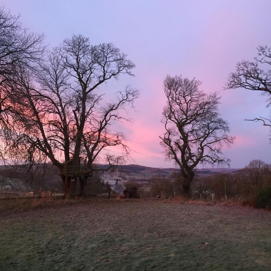 Willow Cottage, Gilchristland Organic Farm Closeburn 外观 照片