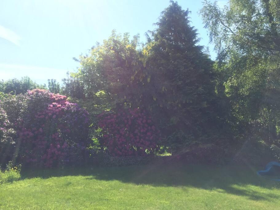 Willow Cottage, Gilchristland Organic Farm Closeburn 外观 照片